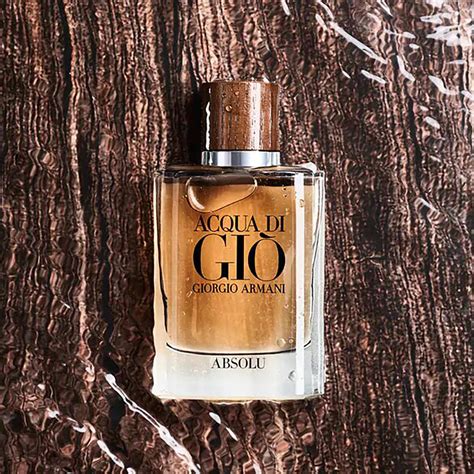 giorgio armani acqua di giò absolu eau de parfum|acqua di gio absolu reviews.